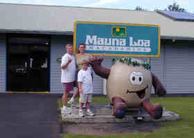 Big Island Mauna Loa Macadamia Nuts