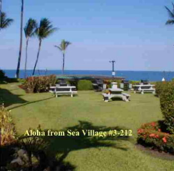 Sea Village picnic area